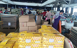 华体会在线登陆包装